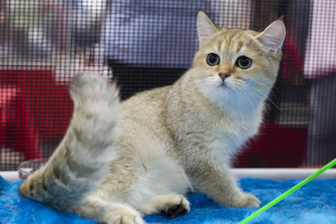 Similar image 21046566