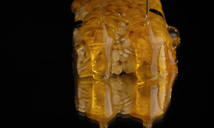 Similar image 21038260