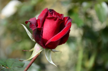 Similar image 21045230