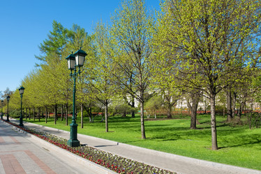 Similar image 21066770