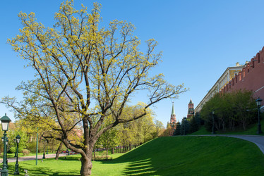 Similar image 21058482