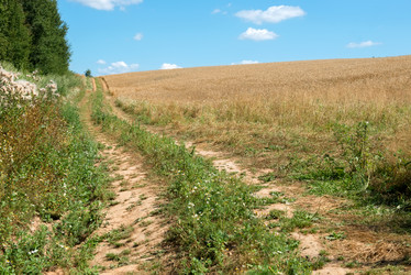 Similar image 21045165