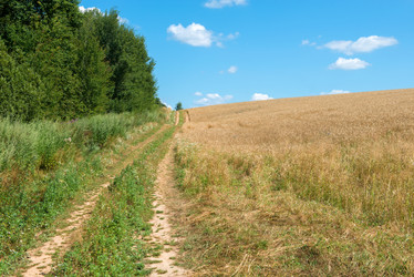 Similar image 21053597