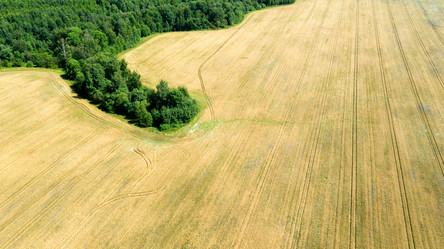 Similar image 21045172