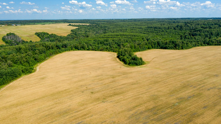 Similar image 21053600