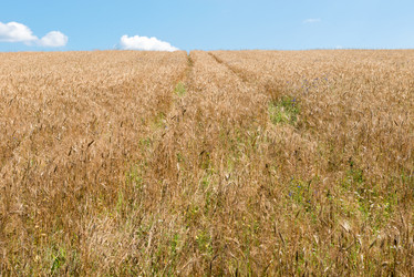 Similar image 21045173