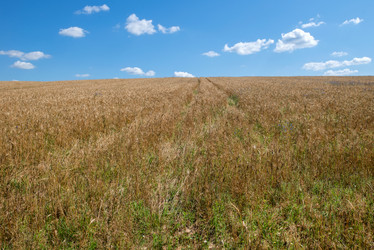 Similar image 21045175