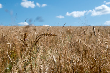 Similar image 21045177