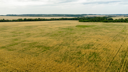 Similar image 21066786