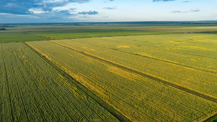 Similar image 21053601