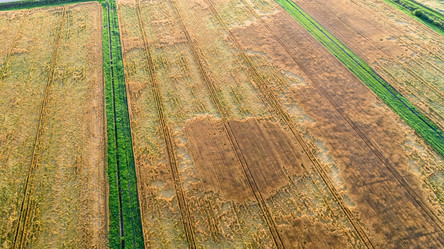 Similar image 21053602