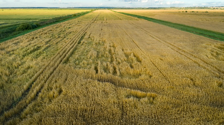 Similar image 21053603