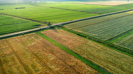 Similar image 21045182