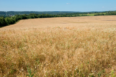 Similar image 21050781