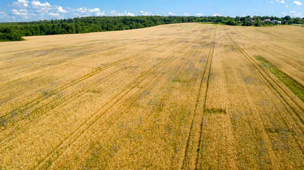 Similar image 21058517