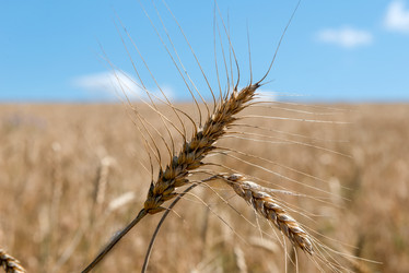 Similar image 21050783