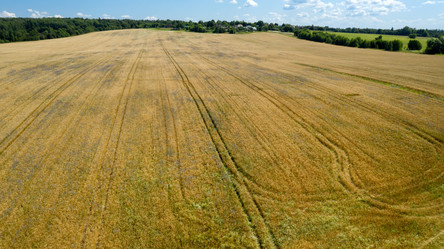 Similar image 21053606