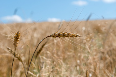 Similar image 21050784