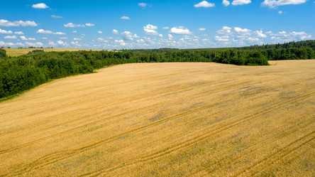 Similar image 21050785