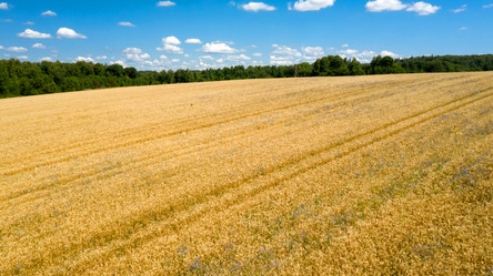 Similar image 21053608