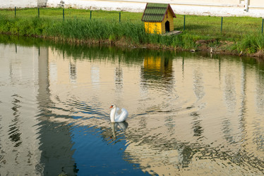 Similar image 21038885