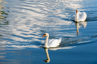 Similar image 21039192