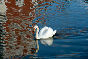 Similar image 21039193