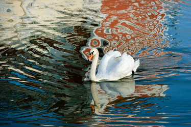 Similar image 21039194