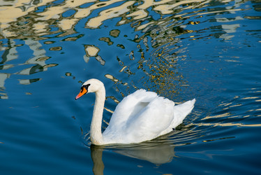 Similar image 21039195