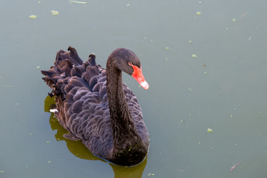 Similar image 21039196