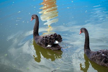 Similar image 21039199