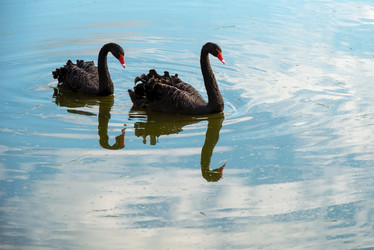 Similar image 21039201