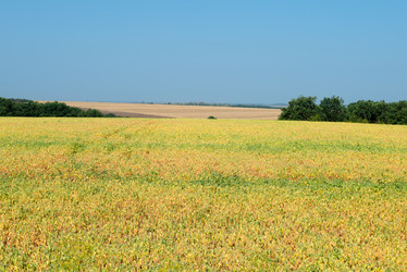 Similar image 21039203