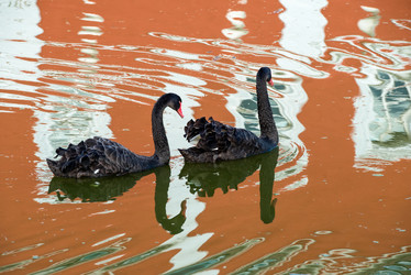 Similar image 21039204