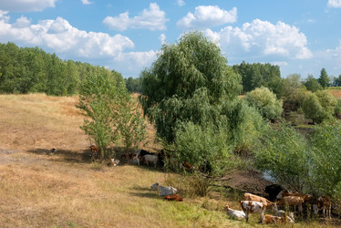 Similar image 21039205