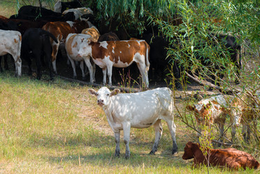 Similar image 21039209