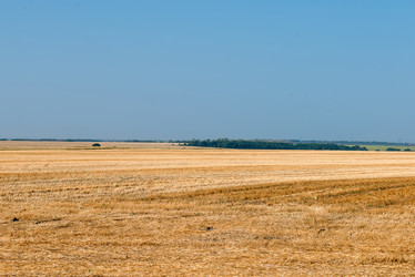 Similar image 21039210