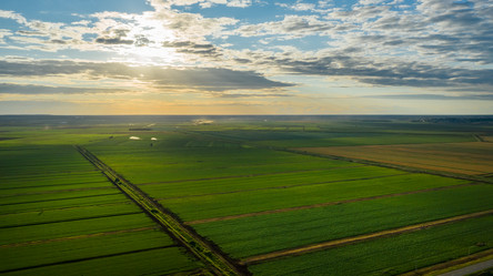 Similar image 21039211