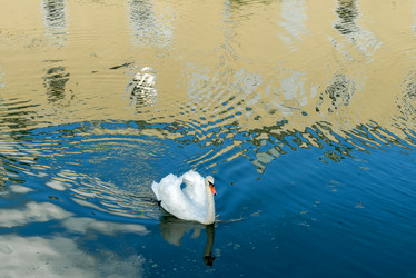 Similar image 21039212