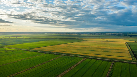 Similar image 21039213