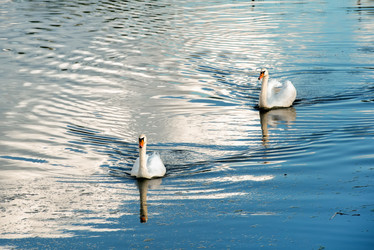 Similar image 21039214