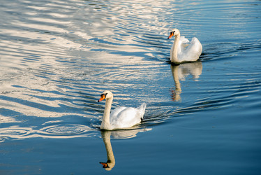 Similar image 21039216