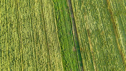 Similar image 21039219