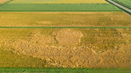 Similar image 21039220