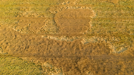 Similar image 21039221