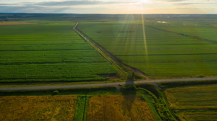 Similar image 21039222