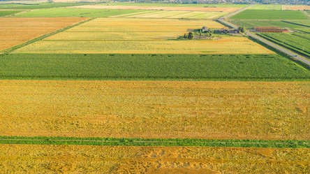 Similar image 21039223