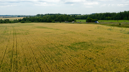 Similar image 21039225