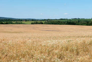 Similar image 21039226