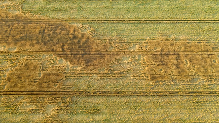 Similar image 21039228